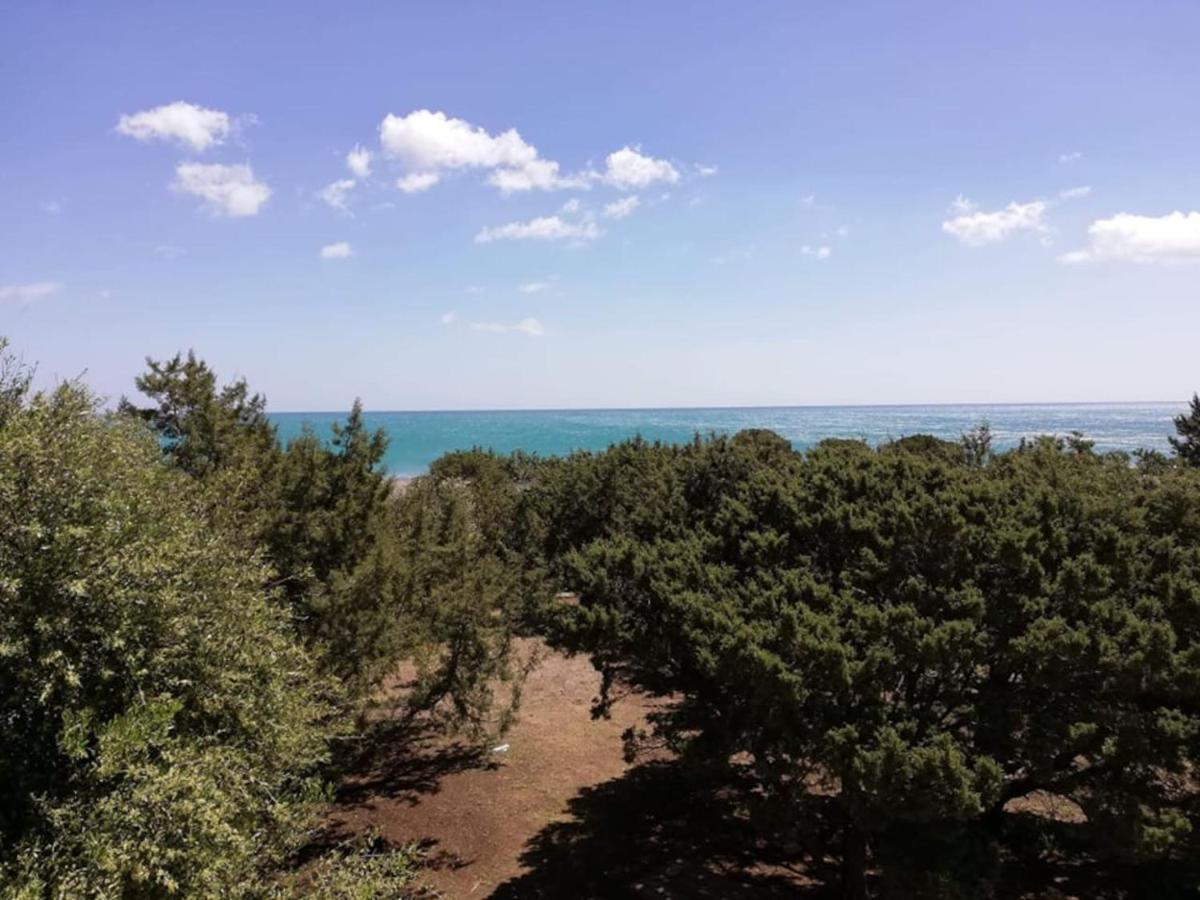 Cedrus And Sea, Beachfront House, Gennadi, Rhodes Apartment Gennadi