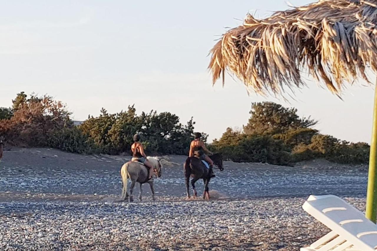 Daire Cedrus And Sea, Beachfront House, Gennadi, Rhodes